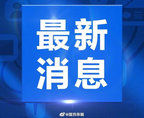 新密都市爆料新闻视频,最新视频揭露惊人内幕