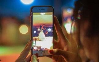 黄鳝进洞直播视频无码,黄鳝直播探秘之旅