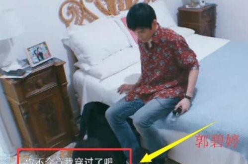 老公用嘴拖鞋,引发家庭欢乐无限