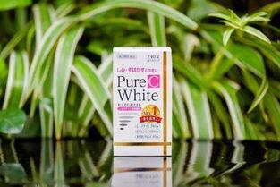 pure c日本,传承与创新