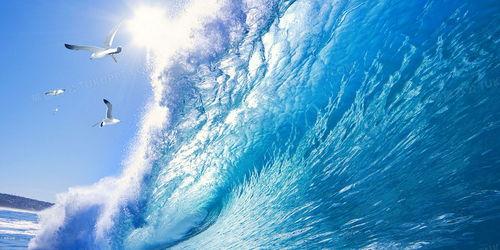 浪花淘沙免费观看,免费畅享经典影视盛宴