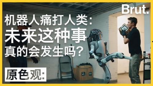 在线播放机器人反击,智能助手如何逆袭成为娱乐新宠