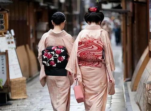 日本女子菊花,探寻传统与现代交融的美丽传奇