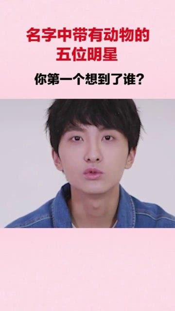 带有动物的明星名字,动物元素闪耀明星名号