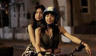 古希母AV,AV哲学思想的传承与启示