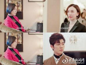 娱乐圈吃瓜说明书