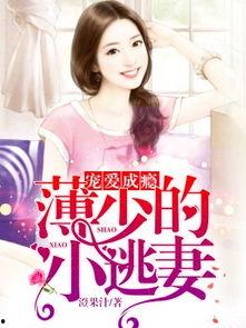 娱乐吃瓜酱妻子小说阅读